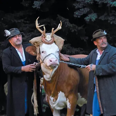 Zur Gradlhoehe Schönsee